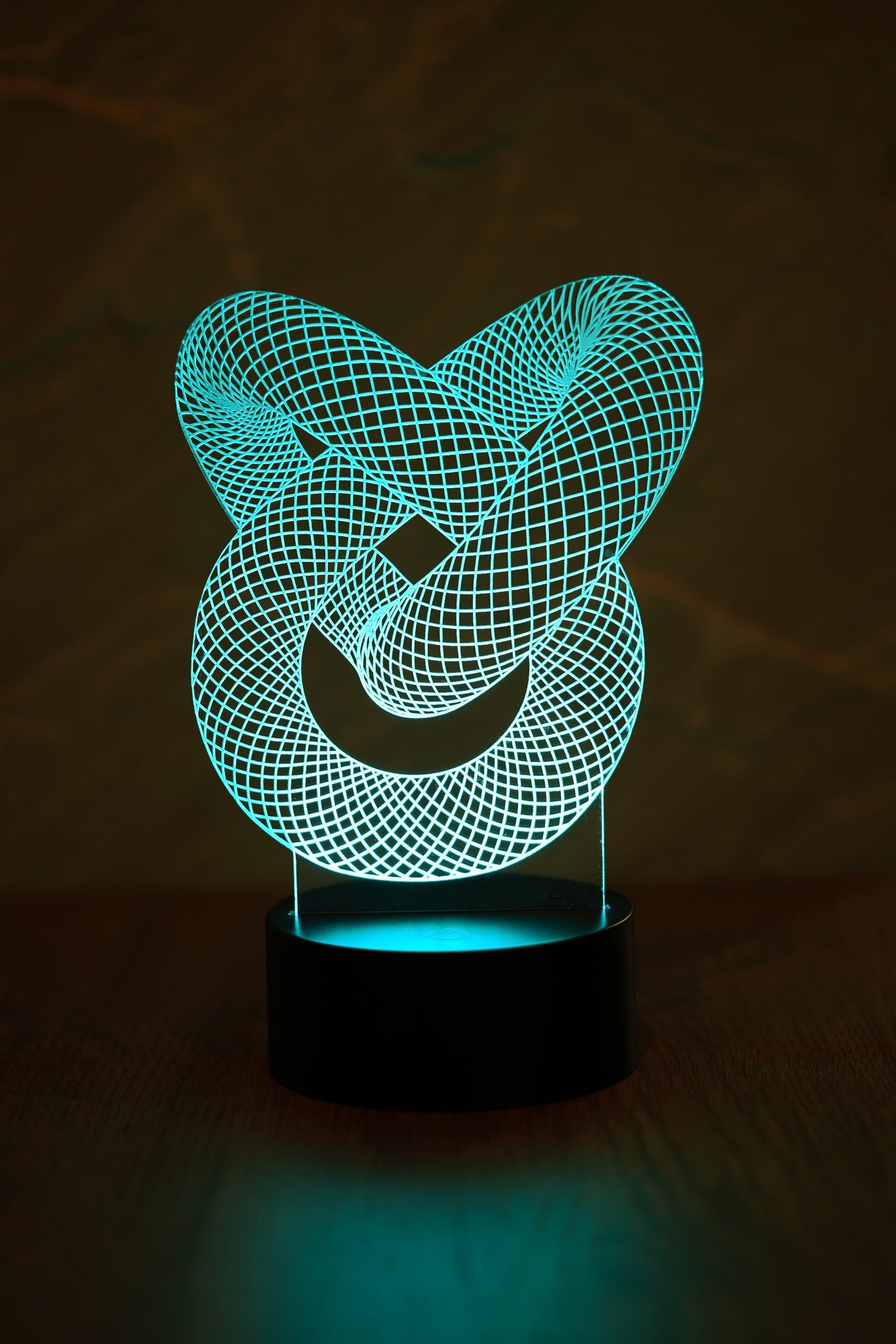 Love Knot 3D Illusion Lamp